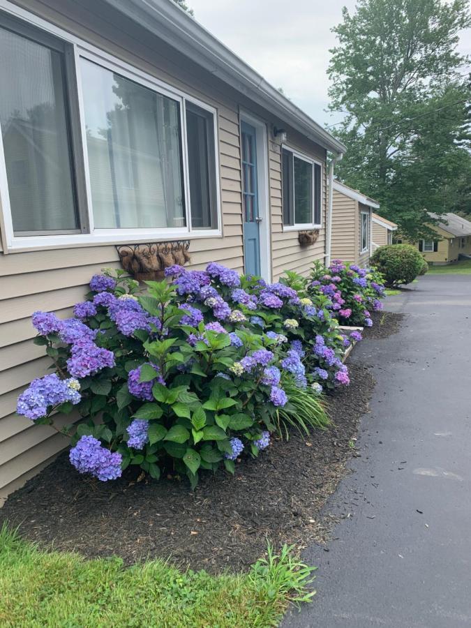 Northeaster Motel Kittery Εξωτερικό φωτογραφία
