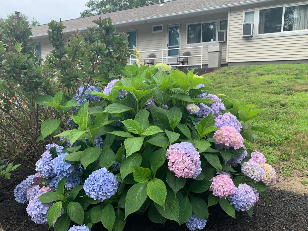 Northeaster Motel Kittery Εξωτερικό φωτογραφία