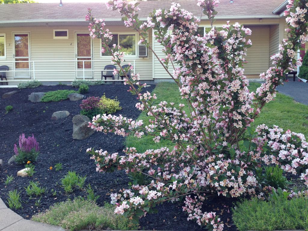 Northeaster Motel Kittery Εξωτερικό φωτογραφία
