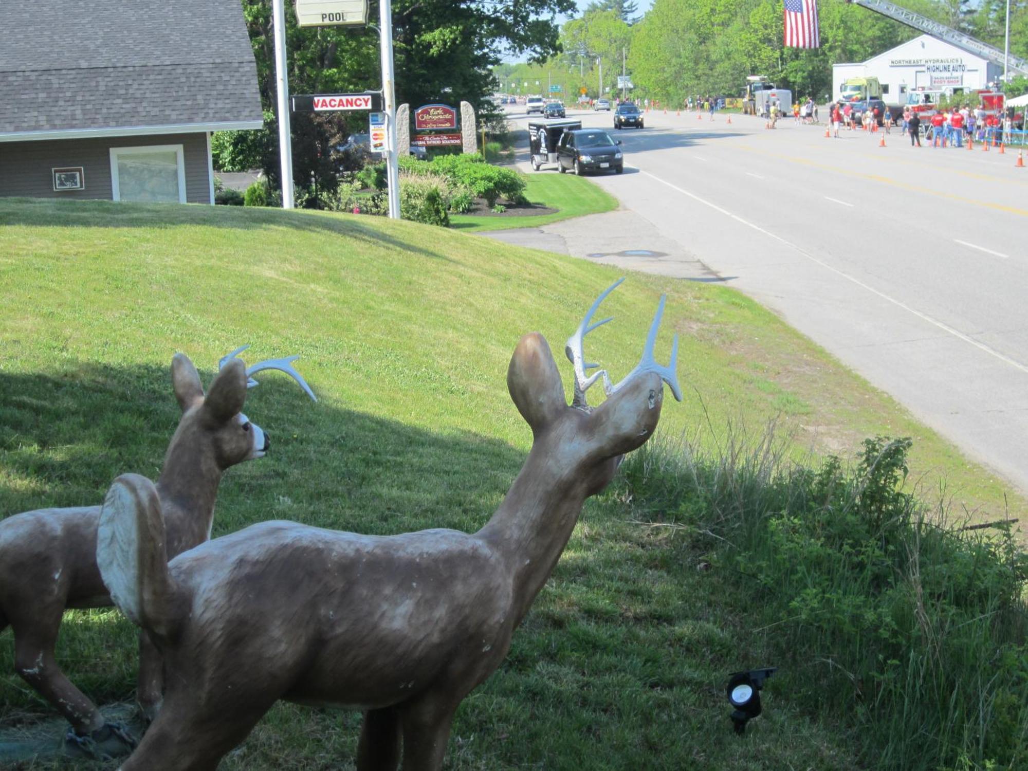 Northeaster Motel Kittery Εξωτερικό φωτογραφία